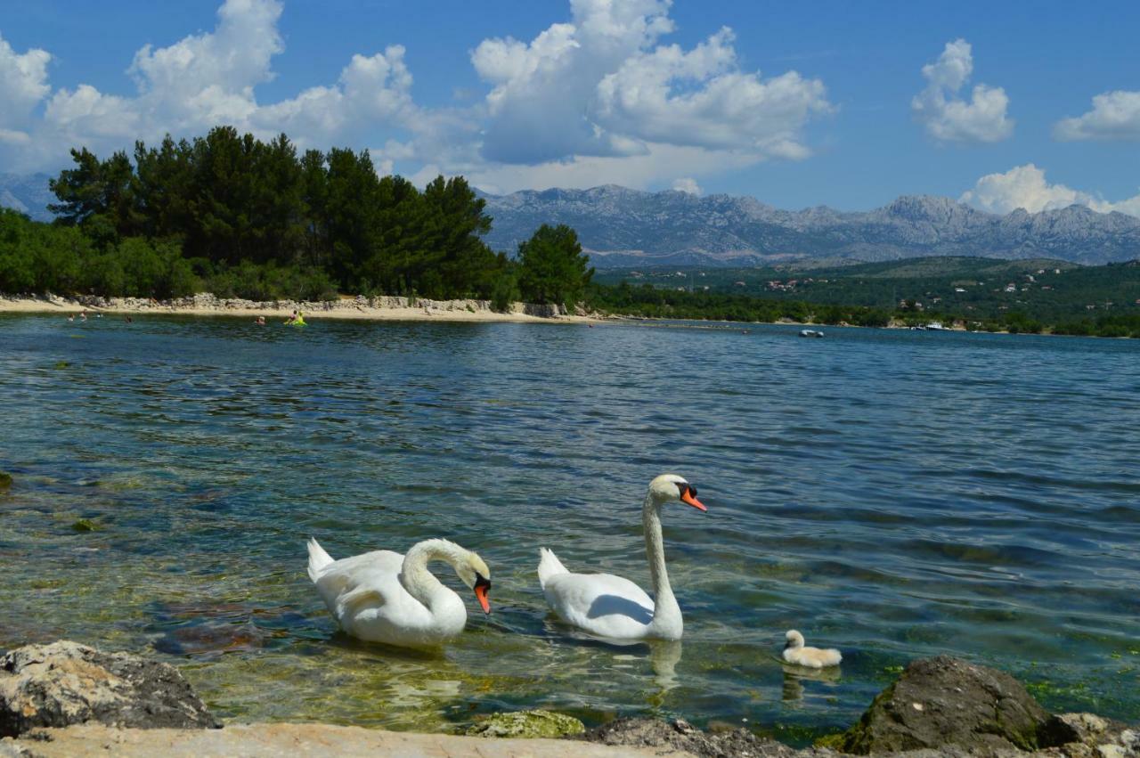 Апартаменти Apartman Lucija Pridraga Екстер'єр фото
